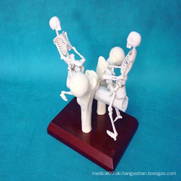 Künstliches menschliches Skelettmodell Medizinische Geschenkprodukte